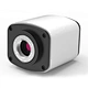 Autofocus HDMI Digital Microscope Camera